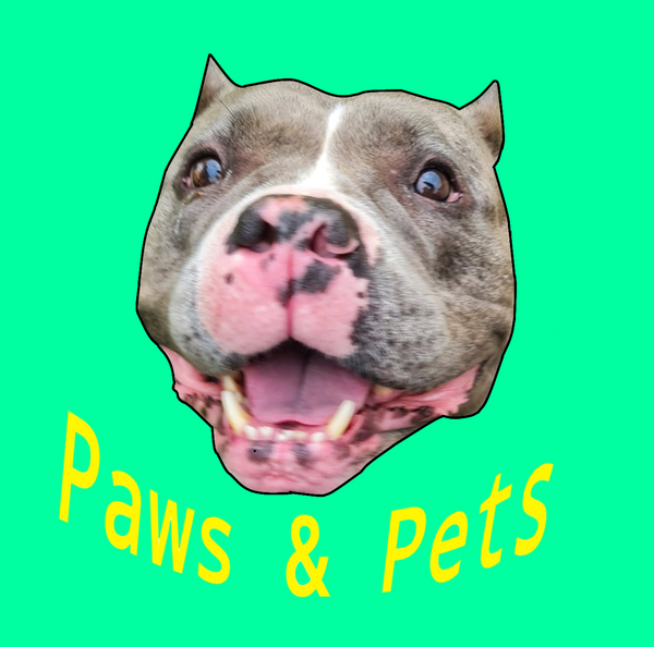 paws & pets
